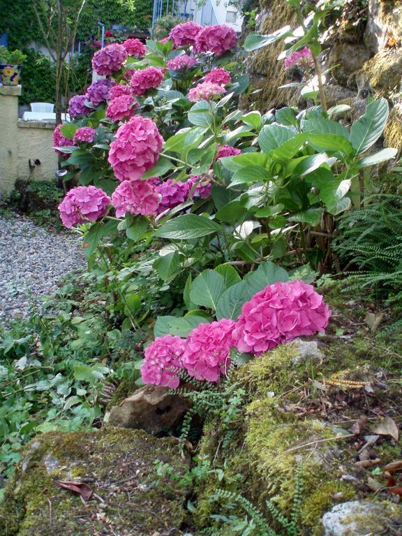 Moulin De Cornevis Bed And Breakfast Privas Exterior foto
